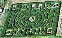 Belluz_farms_maze