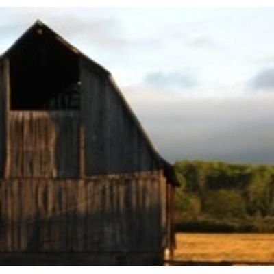 Mile Hill Farms - Local Grower