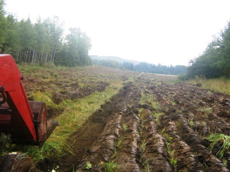 <p>When we purchased our farm in 2008, the land had not been used for many years. This is a picture of Jeff first ploughing one of our fields which now produces acres of grain.</p>