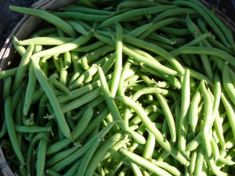 <p>Green Beans</p>